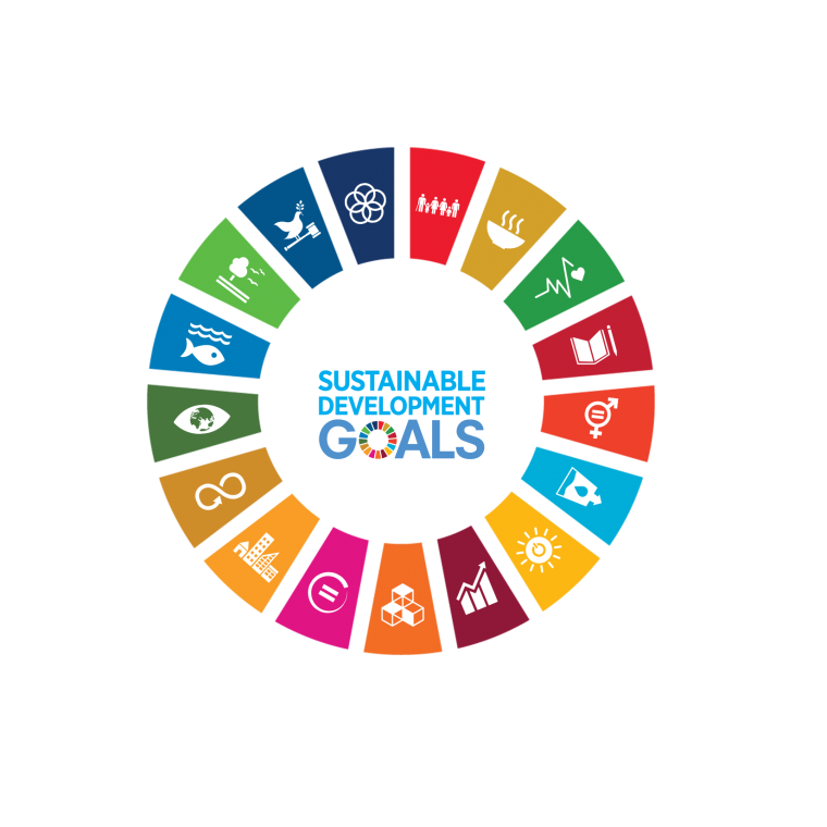 Obiettivi di Sviluppo Sostenibile — Agenda 2030